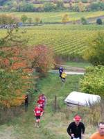 1. Bad Dürkheimer Wingertcrosslauf 27.10.200
