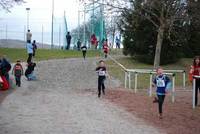 Crosslauf Grünstadt mit Bezirksmeisterschaft