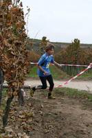 24.10. Wingertcrosslauf - Finale Juniorlauf C