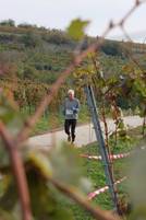 23.10. Wingertcrosslauf