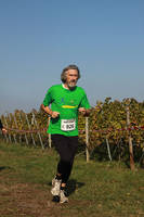 22.10. 5.Wingert-Crosslauf