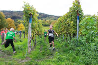 20.10. -  7. Wingertcrosslauf