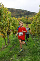 20.10. -  7. Wingertcrosslauf
