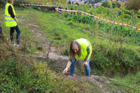 20.10. -  7. Wingertcrosslauf