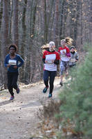 Faschingswaldlauf - Lauf 5 - 2,5km