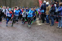 Faschingswaldlauf - Lauf 5 - 2,5 km