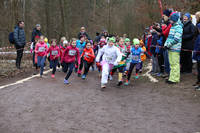 Faschingswaldlauf - Lauf 1 - 800 m WKU10