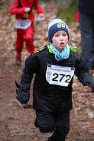 Faschingswaldlauf - Lauf 2 - 800 m MKU10