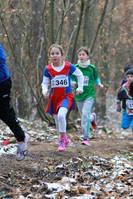 Faschingswaldlauf - Lauf 3 - 800 m M/WKU12