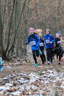 Faschingswaldlauf - Lauf 3 - 800 m M/WKU12