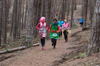 Faschingswaldlauf - Lauf 4 - 5 km 