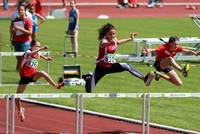 Pfalz Blockmeisterschaften