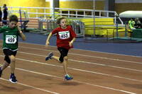 Pfalz-Hallenmeisterschaften U14/U12