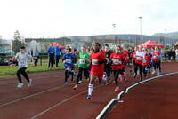 Faschingslauf