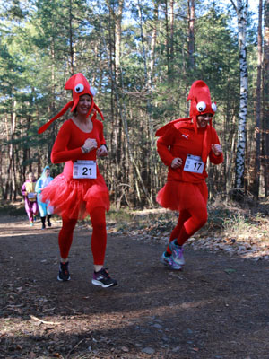 19_02_16_FWL_5k_1